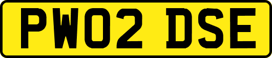 PW02DSE