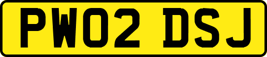 PW02DSJ