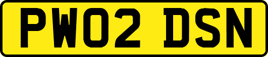 PW02DSN