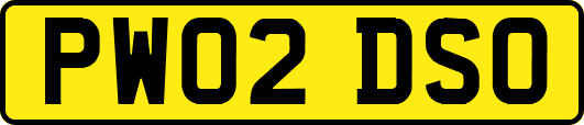 PW02DSO