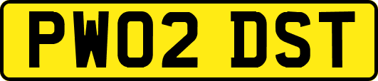 PW02DST