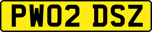 PW02DSZ