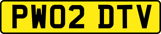 PW02DTV