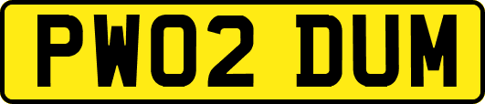 PW02DUM