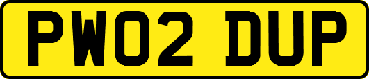 PW02DUP