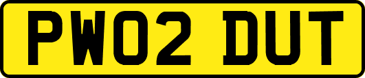 PW02DUT