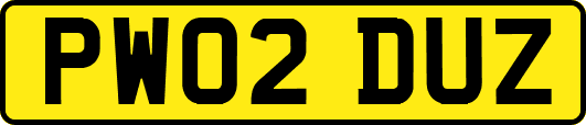 PW02DUZ