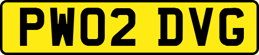 PW02DVG