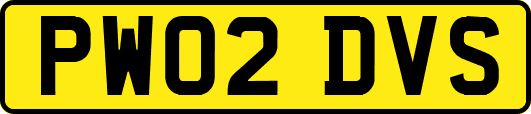 PW02DVS
