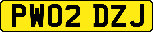 PW02DZJ