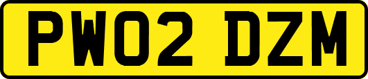 PW02DZM