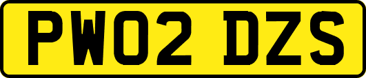 PW02DZS