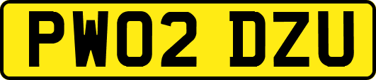 PW02DZU