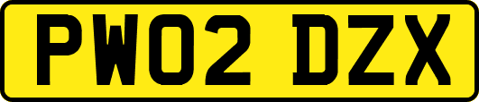 PW02DZX