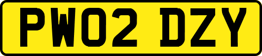 PW02DZY
