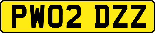 PW02DZZ
