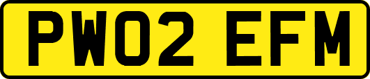 PW02EFM