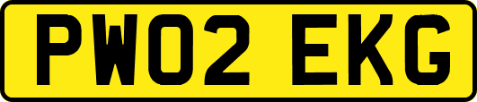 PW02EKG