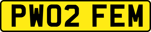 PW02FEM
