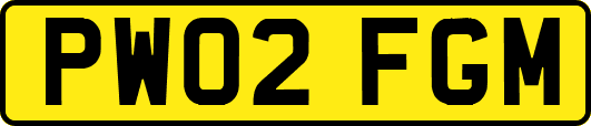PW02FGM