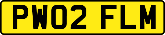 PW02FLM