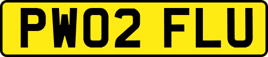 PW02FLU