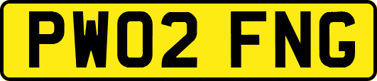 PW02FNG
