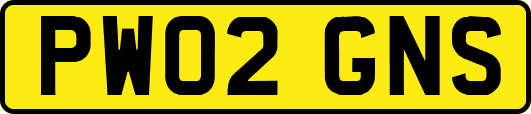 PW02GNS