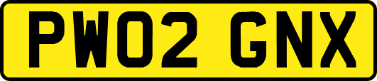 PW02GNX