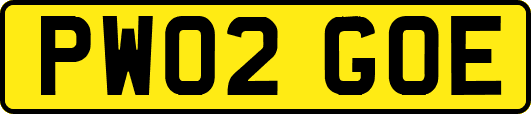 PW02GOE