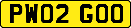 PW02GOO