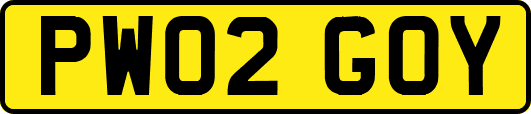 PW02GOY
