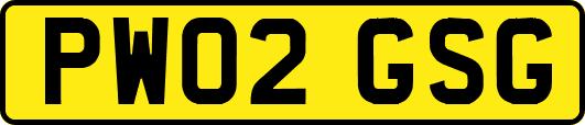 PW02GSG