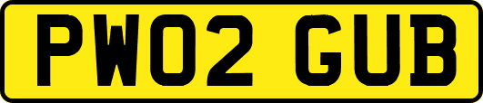 PW02GUB
