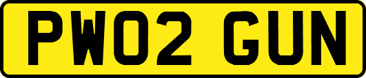 PW02GUN