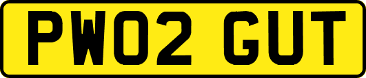 PW02GUT