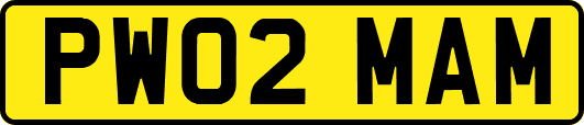 PW02MAM