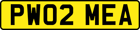 PW02MEA