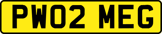 PW02MEG