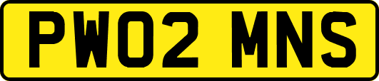 PW02MNS