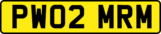PW02MRM