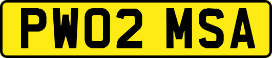 PW02MSA