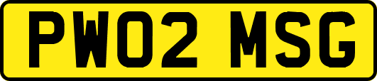 PW02MSG