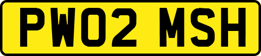 PW02MSH