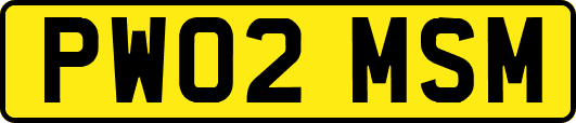 PW02MSM