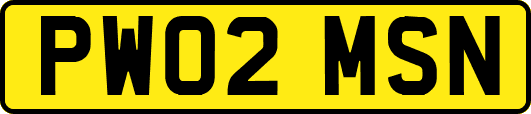 PW02MSN