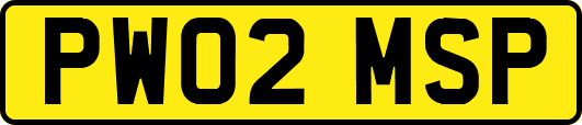 PW02MSP