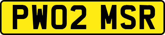 PW02MSR