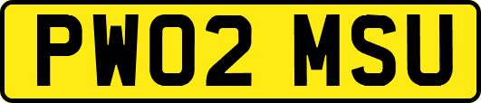 PW02MSU