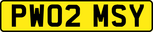 PW02MSY